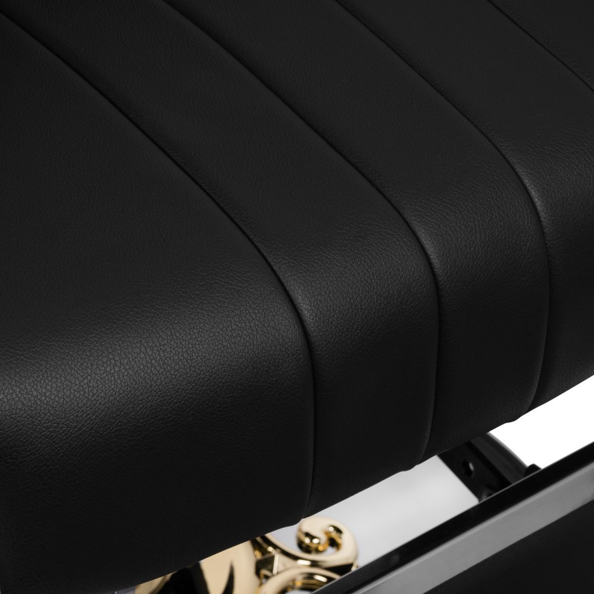 Gabbiano Livio parturituoli, musta. Gabbiano Livio parturituoli, musta.