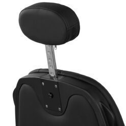 Gabbiano Francesco Parturituoli Musta Mustalla Rungolla