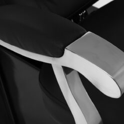 Gabbiano Lyon pesupaikka, musta