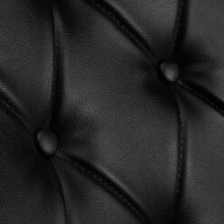 Gabbiano Lyon pesupaikka, musta