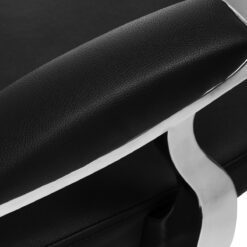 Gabbiano Lyon pesupaikka, musta