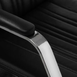 Gabbiano parturipesupaikka Patrizio musta