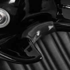 Gabbiano parturipesupaikka Patrizio musta