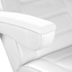 Hoitotuoli LUX, 4 moottoria, valkoinen