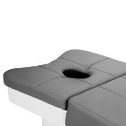 Gabbiano Head Spa 017 -hoitopeti pesuyksiköllä, harmaa