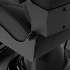 Gabbiano parturituoli Bruno, musta, mustalla rungolla