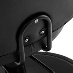 Hair System S20 kampaamotuoli, musta