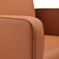 Gabbiano Bilbao kampaamon pesupaikka, ruskea