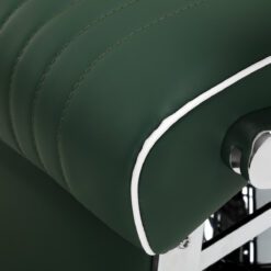 Parturituoli Visionerio, vihreä, kromirunko