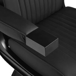 Parturituoli Visionerio, musta, mustalla rungolla