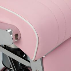 Parturituoli Visionerio, pinkki, kromirunko