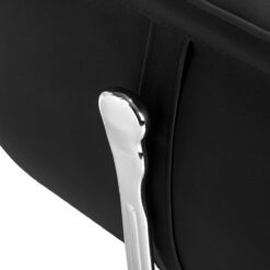 Parturituoli Athena, musta