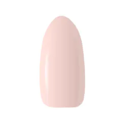 CLARESA Ice Cream 1 hybridilakka, 5 ml